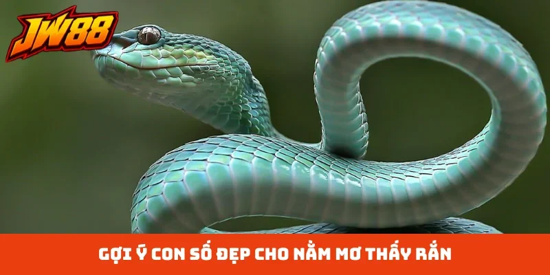 Gợi ý con số đẹp cho nằm mơ thấy rắn