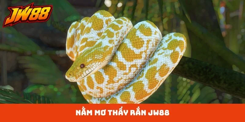 nằm mơ thấy rắn